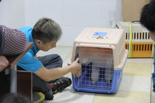 航空箱訓練