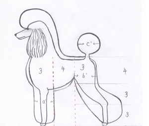 貴賓犬修剪標準