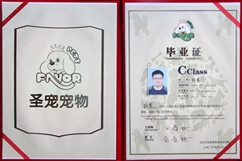 畢業學子路賽