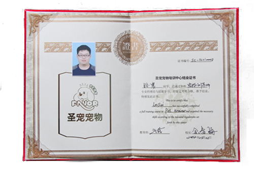 寵物訓導結業證書