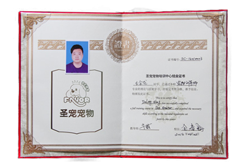 寵物訓導班結業證書