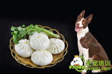 狗狗不能吃包子