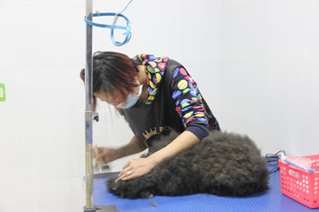 美容容進行中