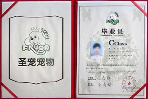 寵物美容師證書