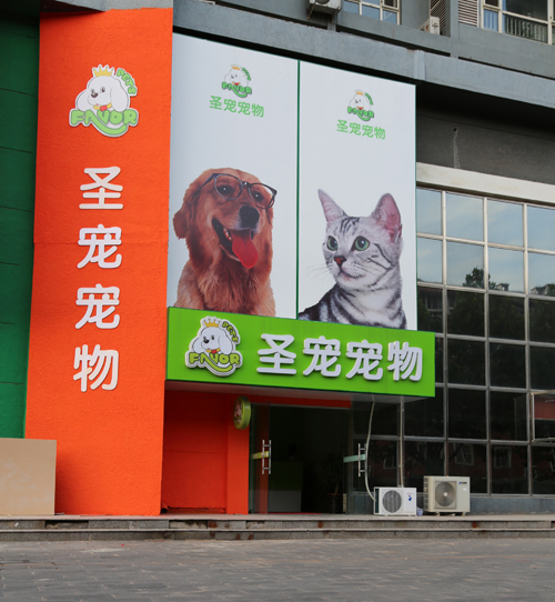 圣寵寵物美容學校