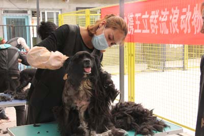 圣寵寵物美容學校