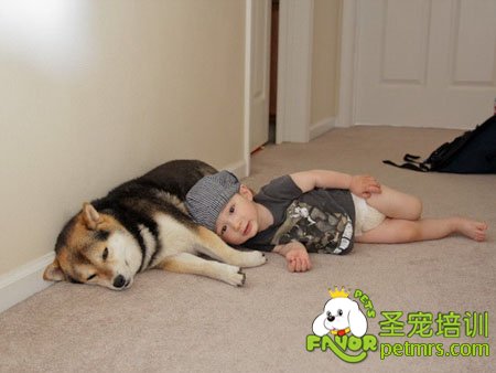 小孩與小狗相處之道