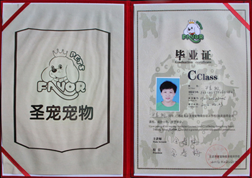 寵物美容師證書
