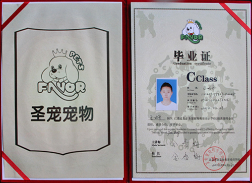 寵物美容師證書