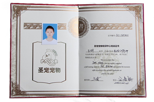 寵物訓導師證書