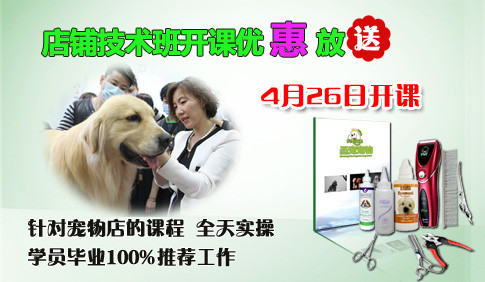 店鋪技術班開課優惠