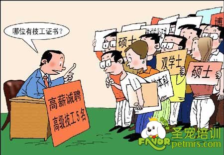 沒有技術找工作真難