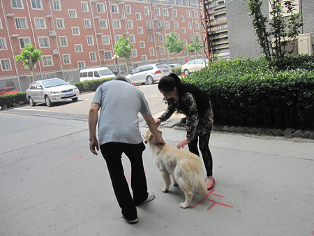 指導(dǎo)手課程
