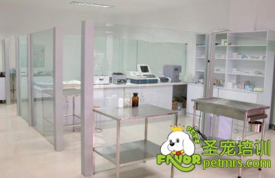 寵物醫(yī)院