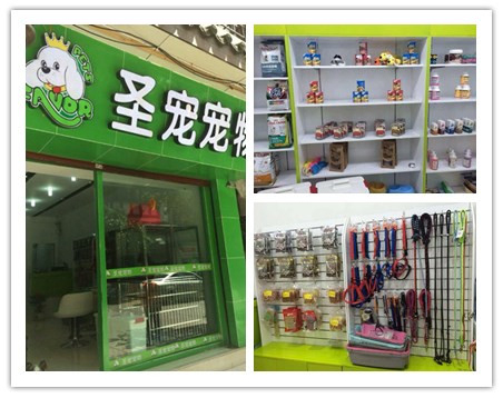 圣寵寵物店