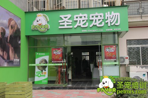 寵物美容學(xué)校