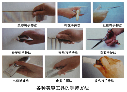 寵物美容工具