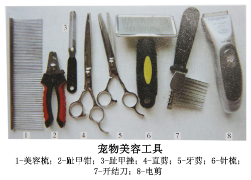 寵物美容工具