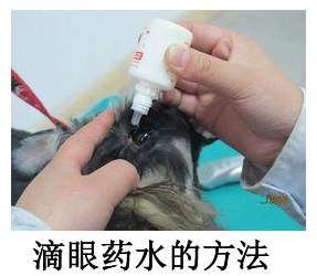 滴眼藥水