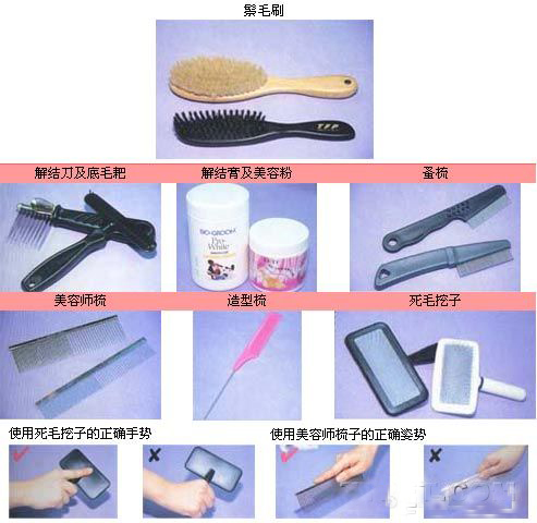 寵物美容工具