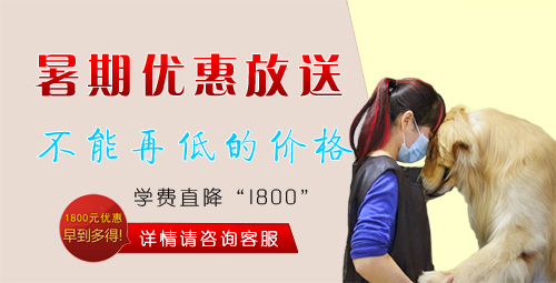暑期優惠