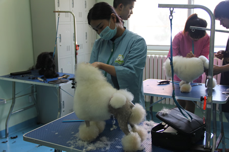 圣寵學員你實操課