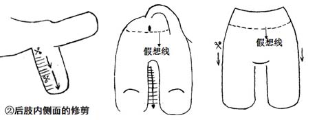西施犬修剪