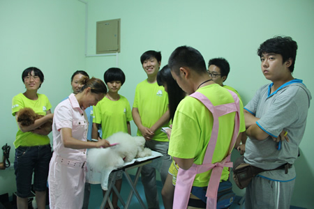 圣寵寵物美容學校第7期貴賓犬運動裝講解示范