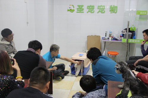 航空箱訓練