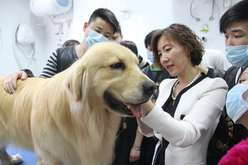 圣寵寵物美容學校