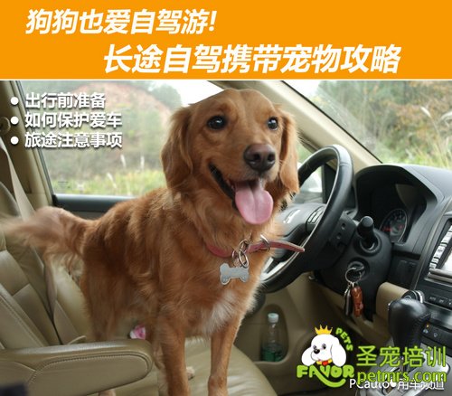 狗狗自駕游準備工作