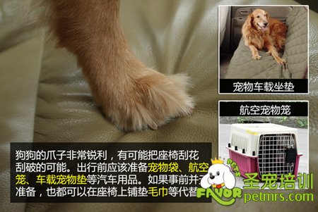 狗狗的爪子