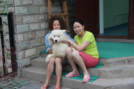 學(xué)員與薩摩耶犬親密合影