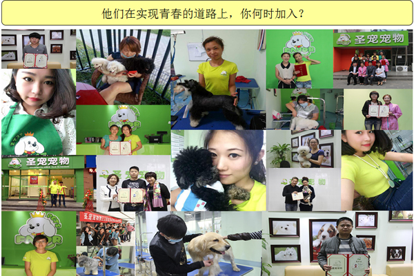 圣寵畢業學員