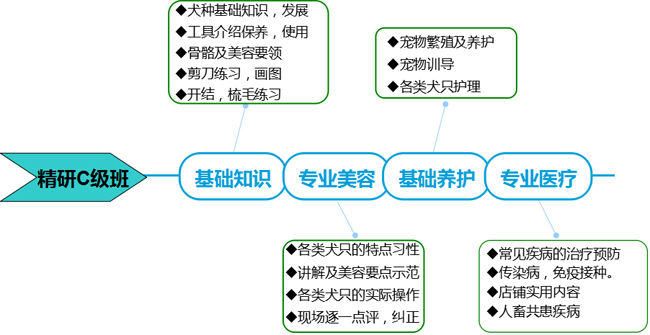 課程目錄