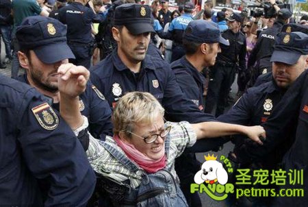 西班牙民眾與警方對峙抗議處死埃博拉病患寵物狗