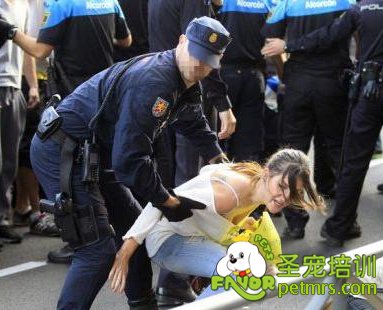 西班牙民眾與警方對峙抗議處死埃博拉病患寵物狗