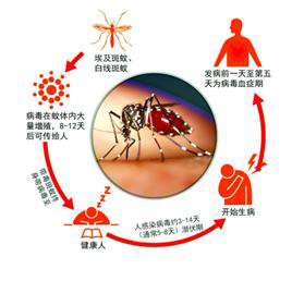 登革熱