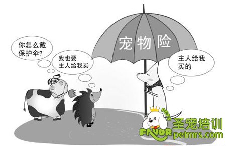 寵物保險