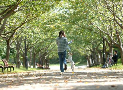 公園遛狗