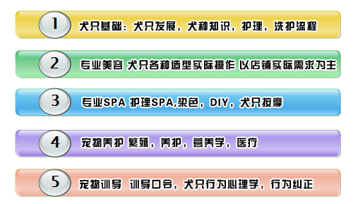 課程目錄