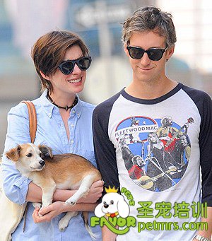 安妮海瑟薇