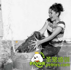 伊麗莎白·泰勒