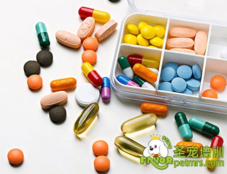 狗狗藥品