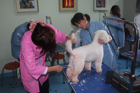 老師手把手指導學員美容手法