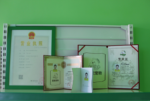圣寵學員結業證書及營業執照