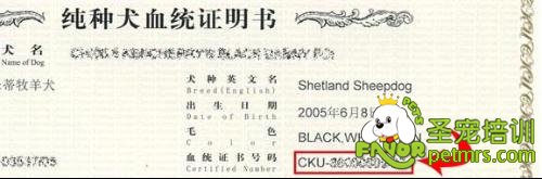 狗狗血統(tǒng)證書