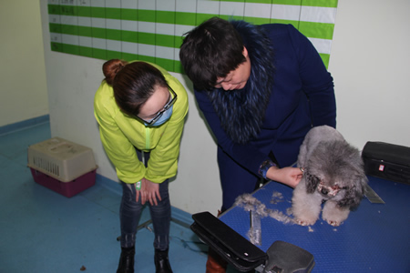 老師手把手指導學員美容方法