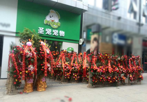 圣寵寵物江蘇常州萬達寵物店