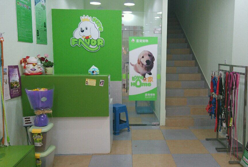 圣寵寵物江蘇常州萬達寵物店